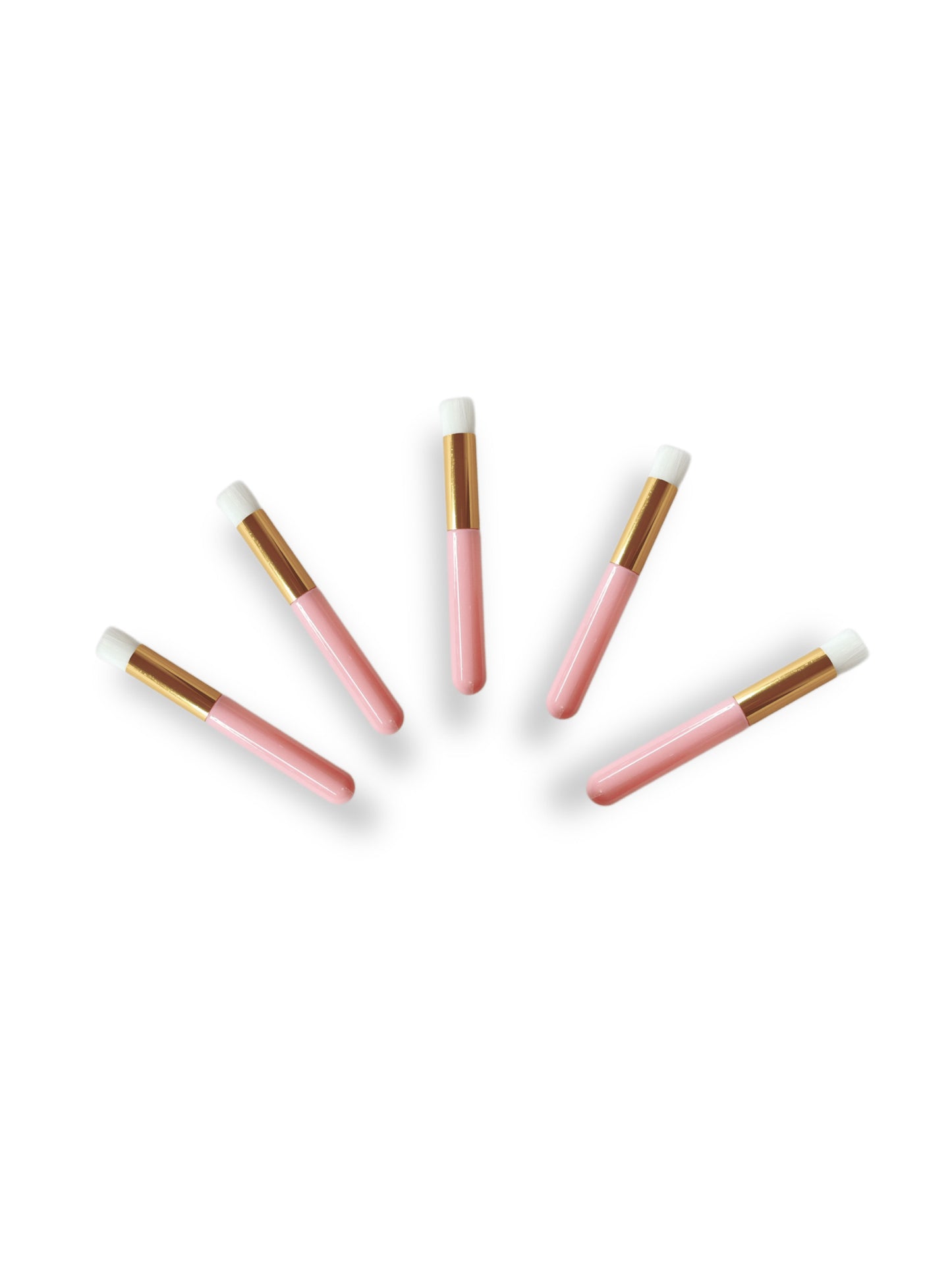 Cleaning brush revente (lot de 5)